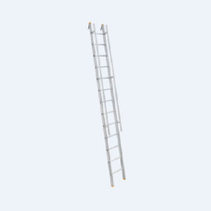 stainless steel ladder
