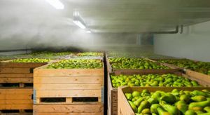 modular cold storage warehouse