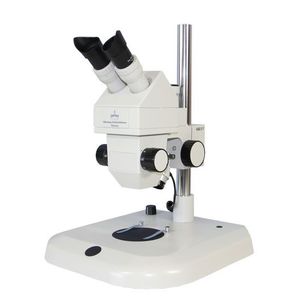 research stereo microscope