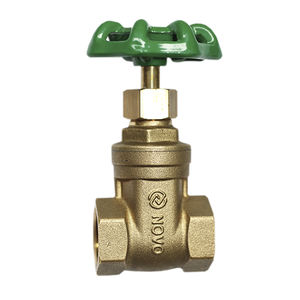 gate valve