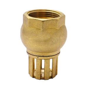 foot check valve / disc / threaded / for water