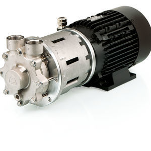 permanent magnet motor 1