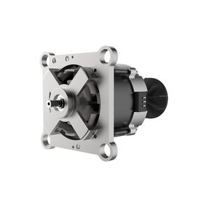 BLDC motor