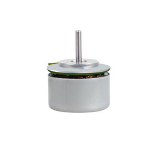 BLDC motor