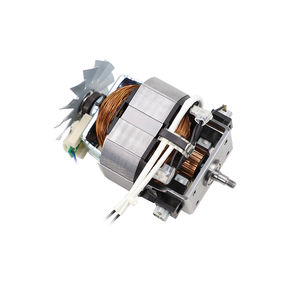 universal motor