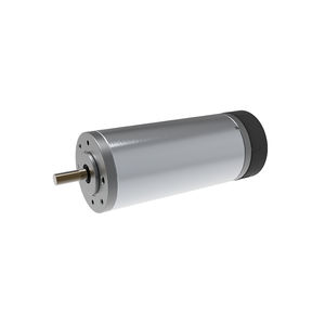 brushed motor