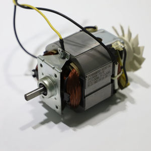 universal motor 1