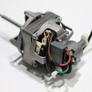AC motor 1