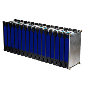 LiFePO4 battery module