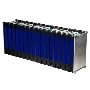 LiFePO4 battery module