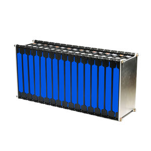 LiFePO4 battery module