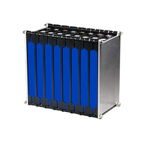 LiFePO4 battery module