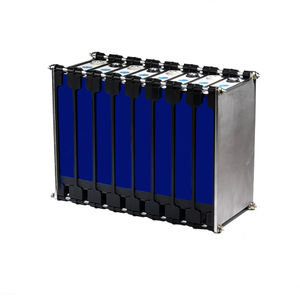 LiFePO4 battery module