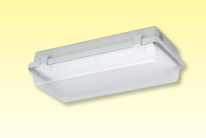 light fitting lighting