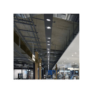 light fixture