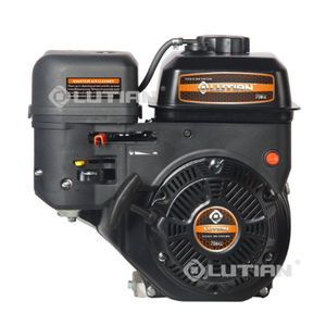 gasoline engine