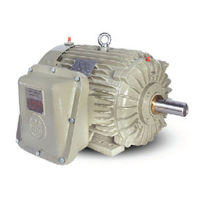 explosion-proof motor