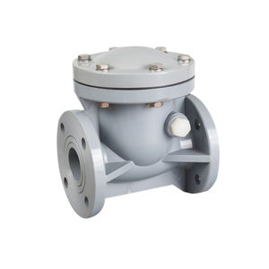 swing check valve