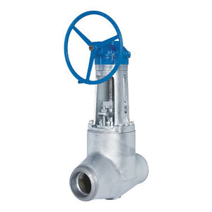 gate valve