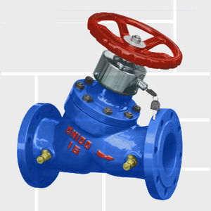 globe valve