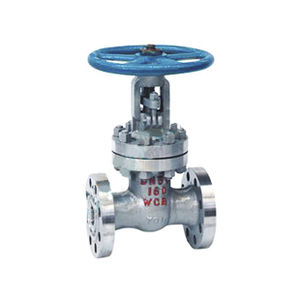 gate valve