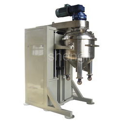 batch pasta dough mixer