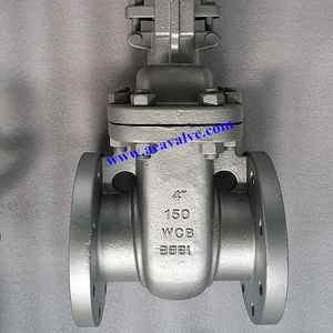gate valve