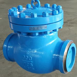 swing check valve