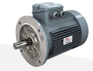 asynchronous motor 1
