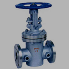 globe valve