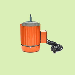 single-phase motor