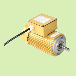 single-phase motor