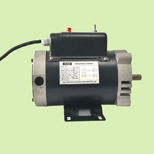 induction motor