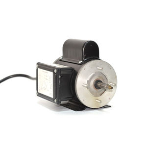 induction motor