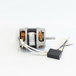induction motor
