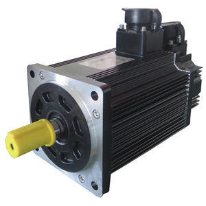 AC servo motor