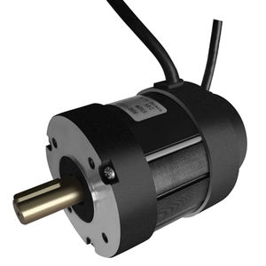 DC motor