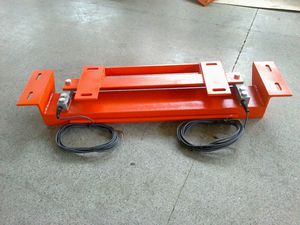 platform scale
