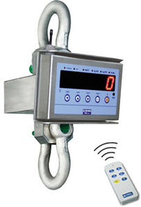 digital crane scale