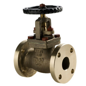 globe valve
