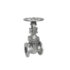 gate valve