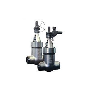 gate valve