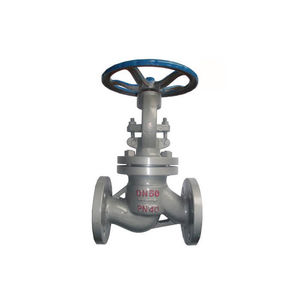 globe valve