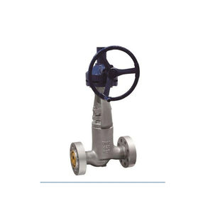 globe valve