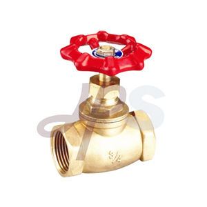 globe valve