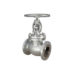 globe valve