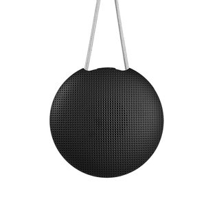 portable loudspeaker