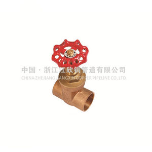 gate valve