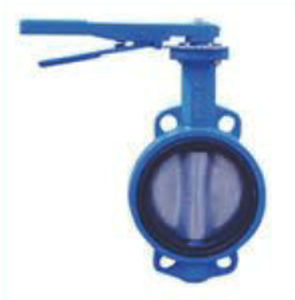 butterfly valve