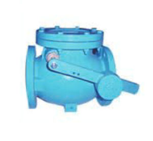 swing check valve